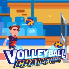 Volleyball Challenge Volleyball Challenge